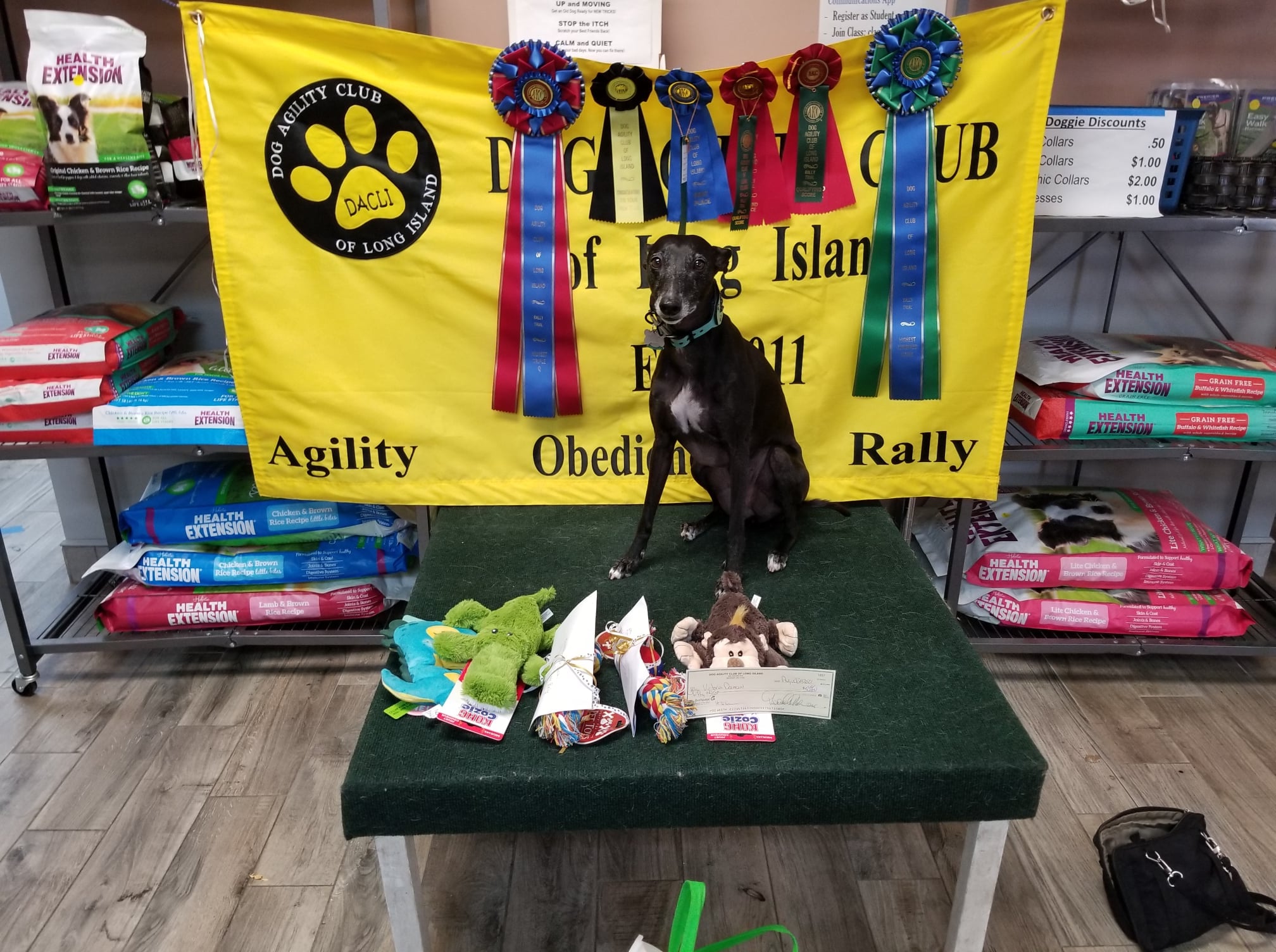 Dog Agility Club of Long Island
